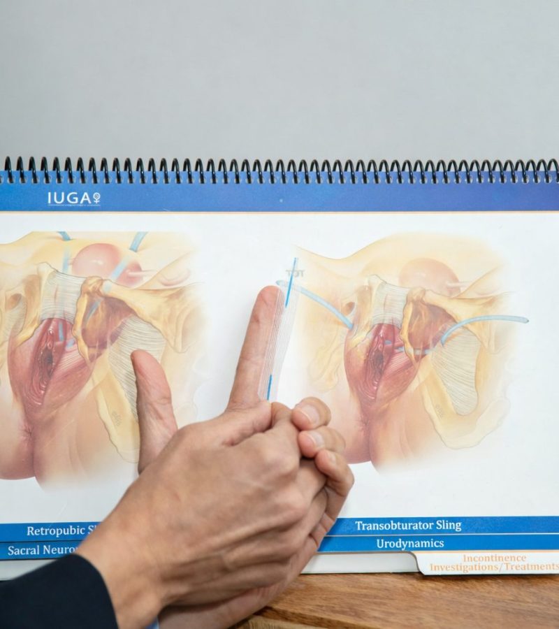 908d140e-924e-46fa-9885-9a8b4803149b